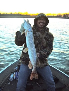 Lindley Henhawk - PHOTO.jpg