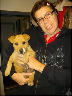 Donna Sault - PHOTO.jpeg